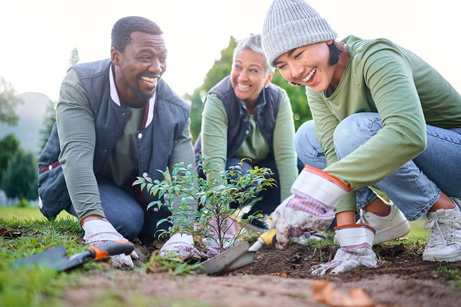 Volunteers gardening